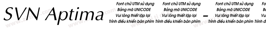 SVN Aptima 常规字体转换